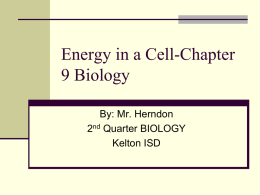 Chapter 9 Biology - s3.amazonaws.com
