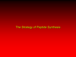 Solid-Phase Peptide Synthesis
