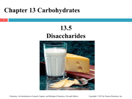 CH_13_5_Disaccharides