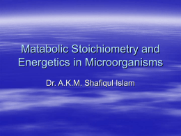 Matabolic Stoichiometry and Energetics in