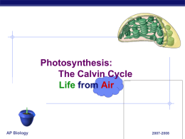 Calvin cycle ppt