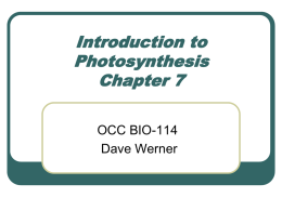 Introduction to Photosynthesis - OCC