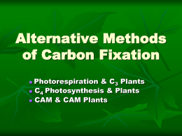 Alternative Methods of Carbon Fixation