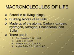 Macromolecules ppt