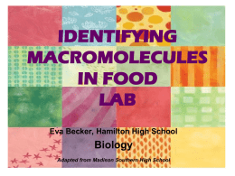 identifying macromolecules in food lab
