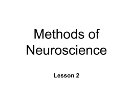 Methods of Neuroscience