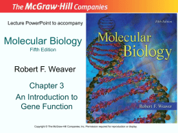 Chapter 03 Lecture PowerPoint - McGraw Hill Higher Education