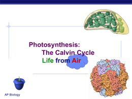 Ch_10 photosynthesis calvin cycle