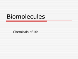 Biomolecules