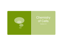 Acc_Bio_Chemistry_Cell_2_3