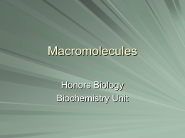 macromolecules - BHSBiology-Cox