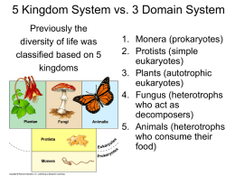 5 Kingdom System vs. 3 Domain System