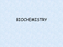 Notes Biochemistry AP