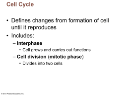 Cell Biology # 4