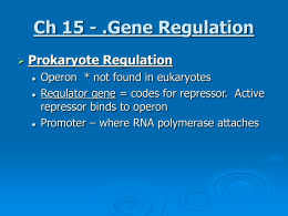 Ch 15 - .Gene Regulation