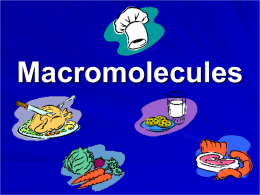 Introduction to Macromolecules