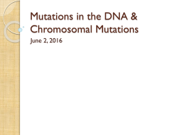 25. Mutations