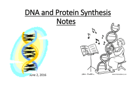 19. Protein Synthesis Notes