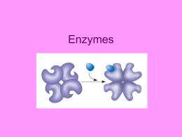 ENZYME NOTES