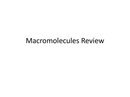 5 Macromolecule Review ppt