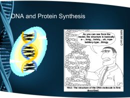 6 Protein Synthesis notes