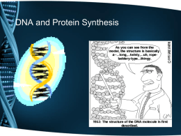 7 Protein Syntheis Notes