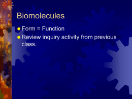Powerpoint over Biomolecules
