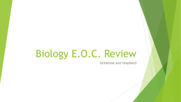 Biology E.O.C. Review