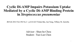 Cyclic Di-AMP