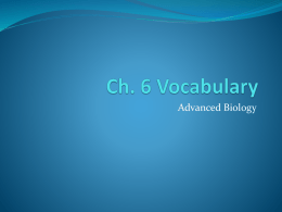 Ch. 6 Vocabulary