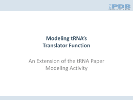 Modeling tRNA*s Translator Function