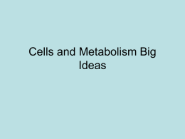 Cells and Metabolism Big Idea Powerpoint