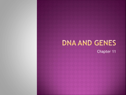 DNA and Genes - Buckeye Valley