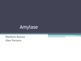 Amylase - cloudfront.net