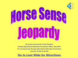 Quiz Game Horse Sense Jeopardy
