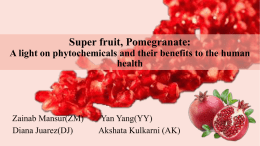 Pomegranate Peels extract