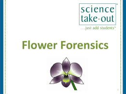Flower Forensics - Science Take-Out