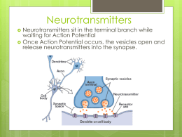 Neurotransmitters PPT