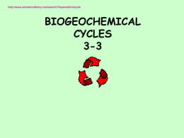 Biogeochemical cycles (1).doc