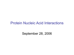 `Protein Nucleic Acid Interactions` lecture