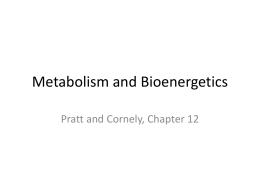 ATP and Energetics of Metabolism