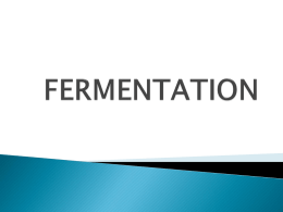 fermentation - MITCON Biopharma
