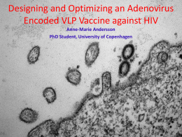 Designing and optimizing an Adenovirus Encoded VLP