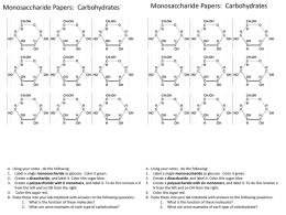 OL Monomer Papers for Macromolecules