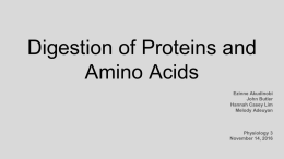 Digestion of Proteins and Amino Acids