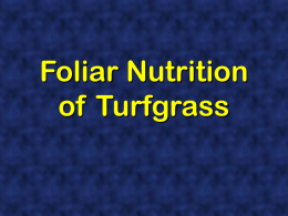 Foliar Nutrition Of Turfgrasses