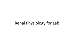 Renal Physiology for Lab