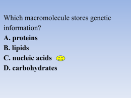 Macromolecule Review Game and study guide answers