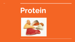 Protein powerpoint