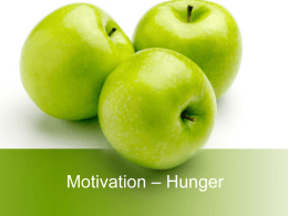 Motivation * Hunger